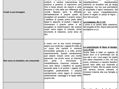 Schede riassuntive sintetiche sussisio ripartiamo da te